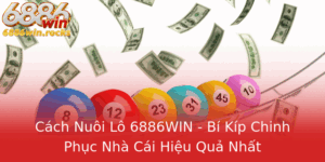 Cach Nuoi Lo 6886Win Bi Kip Chinh Phuc Nha Cai Hieu Qua Nhat