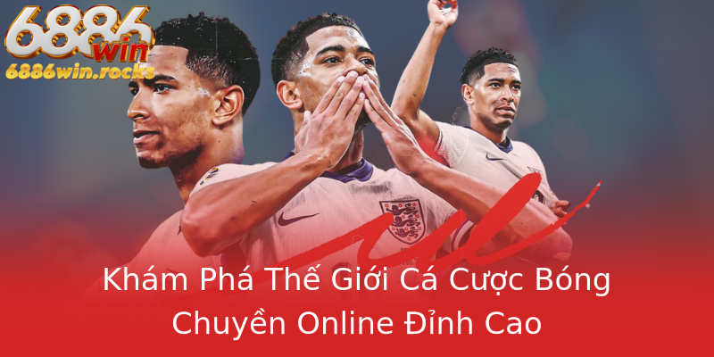 Khám Phá Thế Giới Cá Cược Bóng Chuyền Online Đỉnh Cao Khám Phá Thế Giới Cá Cược Bóng Chuyền Online Đỉnh Cao