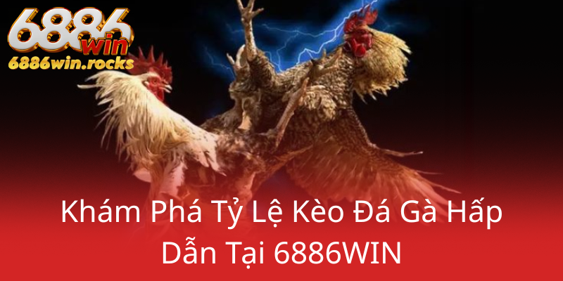Đá Gà 6886WIN - Trải Nghiệm Hấp Dẫn Tại Nhà Cái Uy Tín Hàng Đầu 2 Kham Pha Ty Le Keo Da Ga Hap Dan Tai 6886Win0