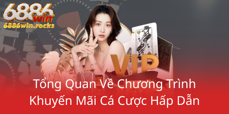 Chính Sách Khuyến Mãi 6886WIN - Lợi Ích Khủng Khiến Sân Chơi Thêm Hưng Phấn! 1 Tong Quan Ve Chuong Trinh Khuyen Mai Ca Cuoc Hap Dan0
